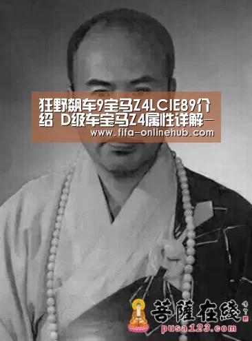 狂野飙车9宝马Z4LCIE89介绍 D级车宝马Z4属性详解-淘汰赛(图3) 球队名单